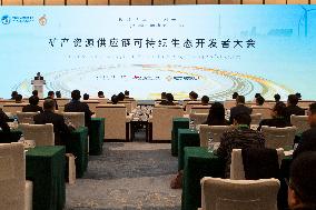 CHINA-SHANGHAI-CIIE-MINERAL RESOURCES SUPPLY CHAIN-CONFERENCE (CN)
