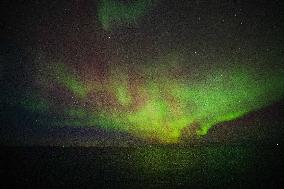 Northern Lights Over The Norwegian Sky