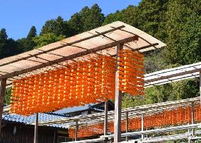 Production of skewered persimmons in western Japan