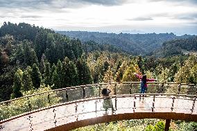 CHINA-CHONGQING-RURAL TOURISM ROUTE (CN)