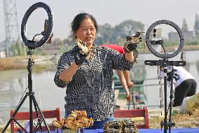 Farmer Sells Crabs Via a Live Webcast in Haian