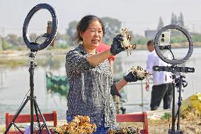 Farmer Sells Crabs Via a Live Webcast in Haian