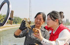 Farmer Sells Crabs Via a Live Webcast in Haian