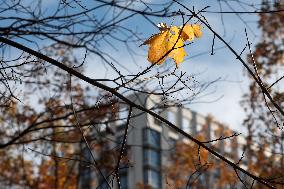 Autumn in Kyiv