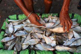 INDIA-ECONOMY-FISHING