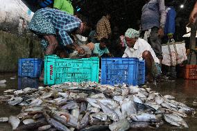 INDIA-ECONOMY-FISHING