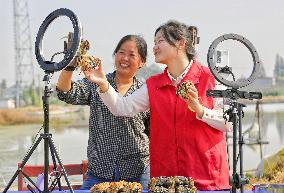 Farmer Sells Crabs Via a Live Webcast in Haian