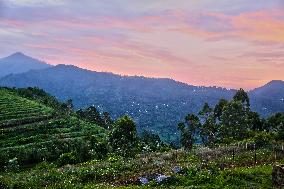 Sunrise In Dindigul