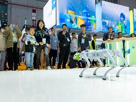 6TH CIIE in Shanghai of China