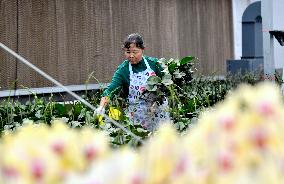 Smart Glass Greenhouse in Suqian