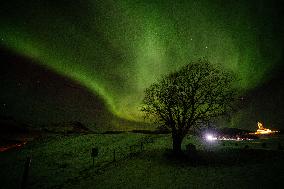 Northern Lights Over The Sky Of Lofoten, Norway