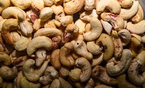Cashew Nut - Anacardium Occidentale