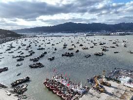 Fshing Boats Shelter From The Wind in Lianyungang