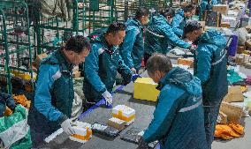 Double 11 Shopping Logistics Peak in Zouping