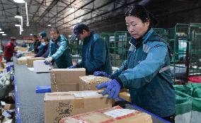 Double 11 Shopping Logistics Peak in Zouping