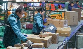 Double 11 Shopping Logistics Peak in Zouping