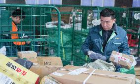 Double 11 Shopping Logistics Peak in Zouping