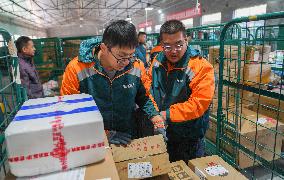 Double 11 Shopping Logistics Peak in Zouping