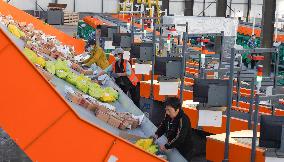 Double 11 Shopping Logistics Peak in Zouping