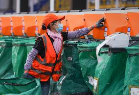 Double 11 Shopping Logistics Peak in Zouping