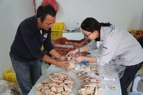 TUNISIA-CHINA-JOINT ARCHAEOLOGICAL EXCAVATION