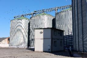 Agricultural firm in Ivano-Frankivsk Region