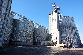 Agricultural firm in Ivano-Frankivsk Region