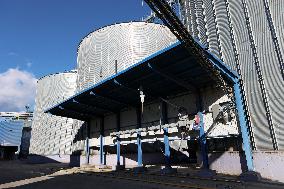 Agricultural firm in Ivano-Frankivsk Region