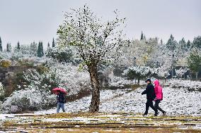 The First Snow in Qingzhou