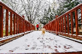 The First Snow in Qingzhou