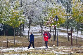 The First Snow in Qingzhou