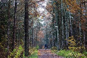 Autumn Beauty In Linköping, Sweden