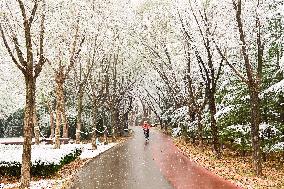 The First Snow in Qingzhou