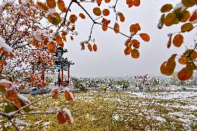 The First Snow in Qingzhou