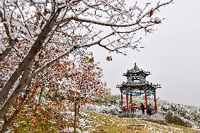 The First Snow in Qingzhou