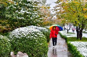 The First Snow in Qingzhou