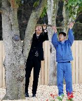 Japan crown prince attends tree-pruning event