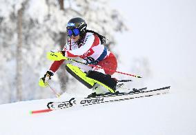 FIS Alpine World Cup Slalom