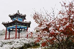 #CHINA-SHANDONG-SNOWFALL (CN)
