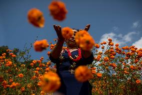 NEPAL-KATHMANDU-TIHAR-MARIGOLD FLOWERS