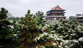 CHINA-SHAANXI-XI'AN-SNOWFALL-SCENERY (CN)