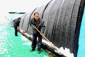 A Vegetable Greenhouse in Binzhou