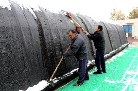 A Vegetable Greenhouse in Binzhou