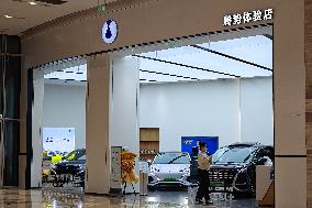 DENZA New Energy Vehicle Store in Shanghai