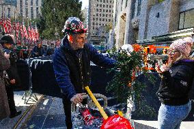 Rockefeller Center Christmas Tree Arrives