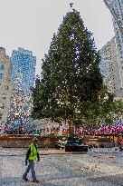 Rockefeller Center Christmas Tree Arrives