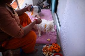 Kukur Puja Or Dog Festival Celebrated In Nepal