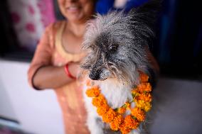 Kukur Puja Or Dog Festival Celebrated In Nepal