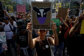 March Against Speciesism In Mexico