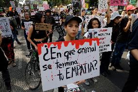 March Against Speciesism In Mexico